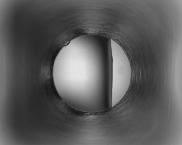 X0000090740620200707201014