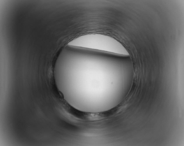 X0000090740623200707201014