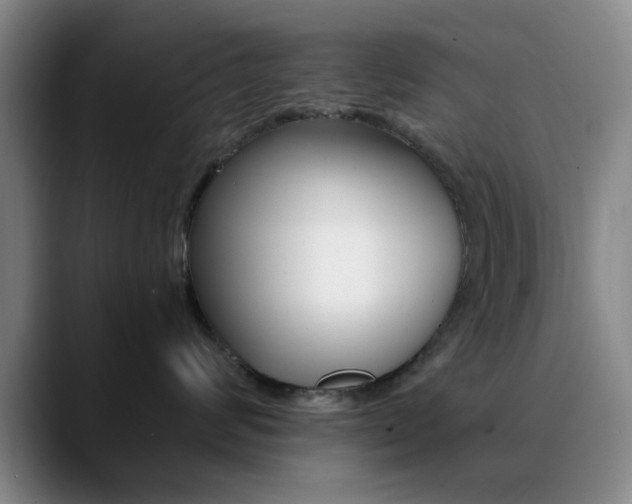 X0000090740624200707201014