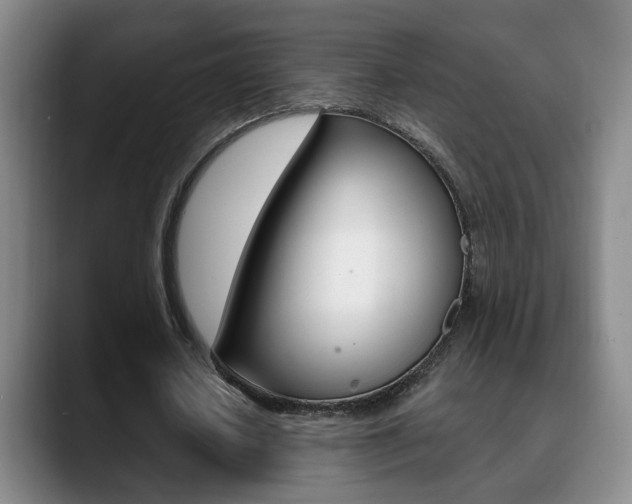 X0000090740626200707201014