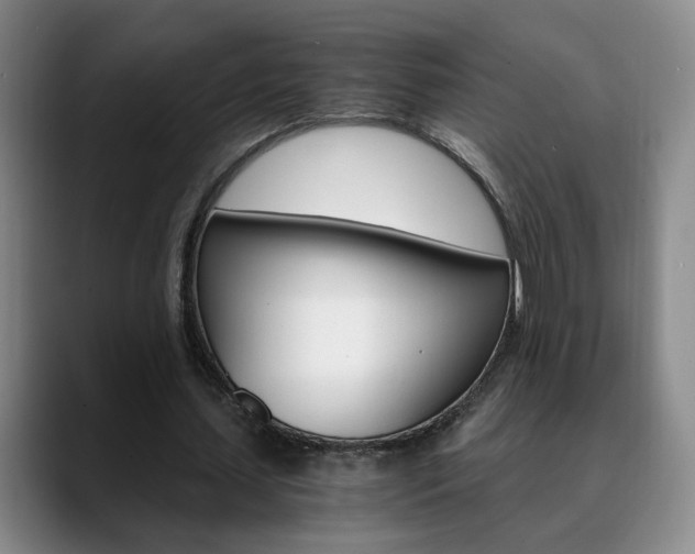 X0000090740627200707201014