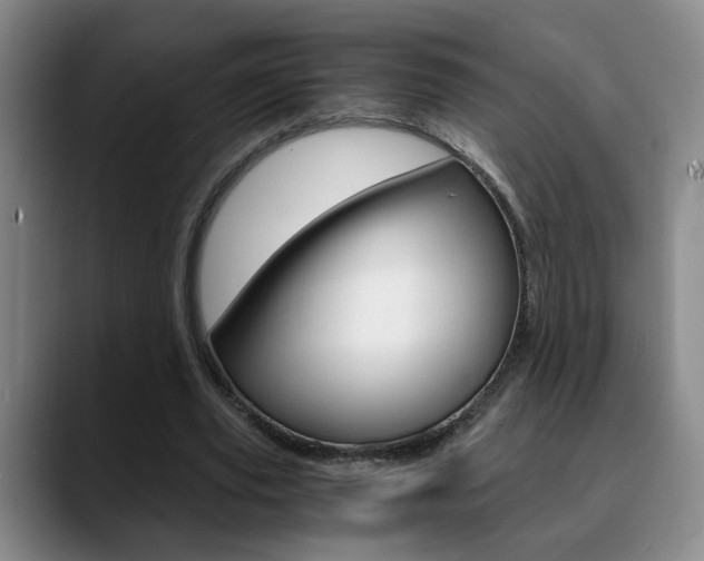 X0000090740629200707201014