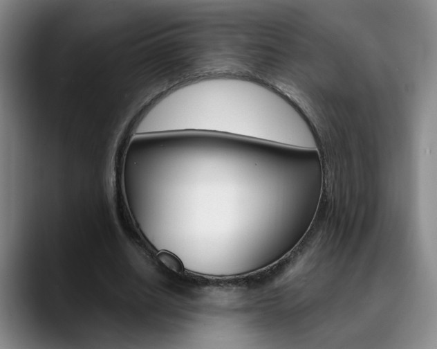 X0000090740630200707201014
