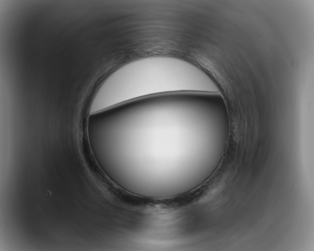 X0000090740634200707201014