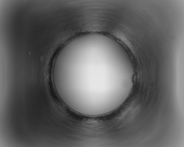 X0000090740635200707201014