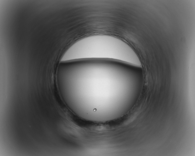 X0000090740646200707201014