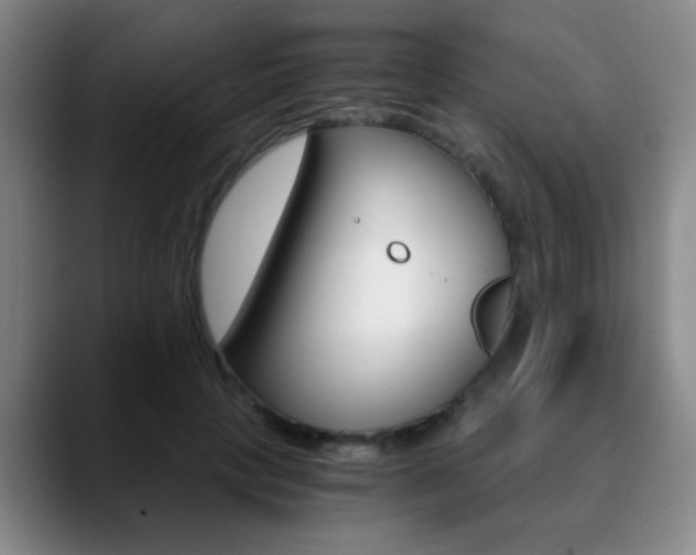 X0000090740649200707201014