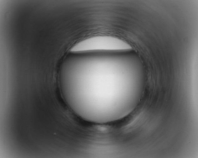 X0000090740654200707201014