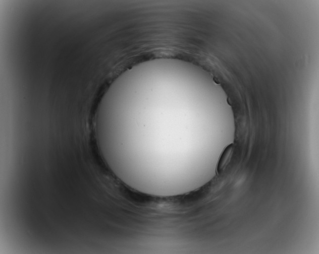 X0000090740655200707201014