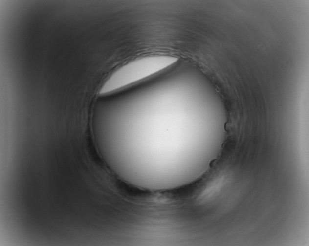 X0000090740656200707201014