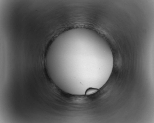 X0000090740661200707201014
