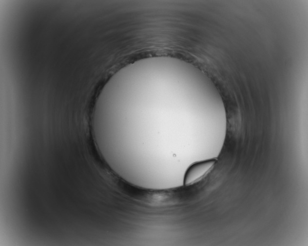 X0000090740662200707201014