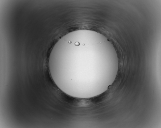 X0000090740663200707201014
