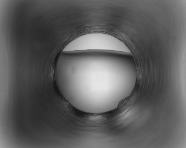 X0000090740669200707201014