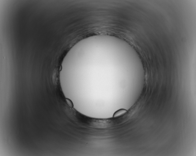 X0000090740671200707201014