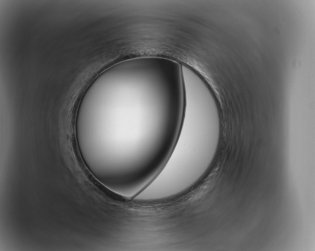 X0000090740673200707201014