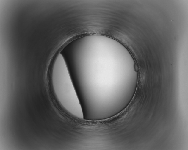 X0000090740674200707201014
