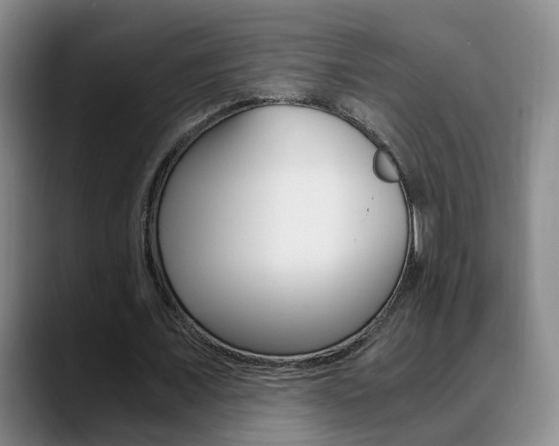 X0000090740675200707201014