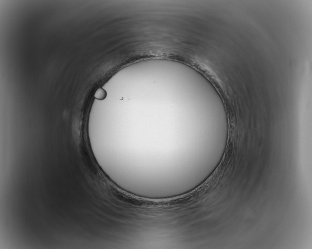 X0000090740679200707201013
