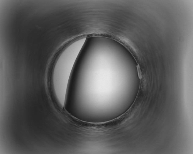 X0000090740680200707201013