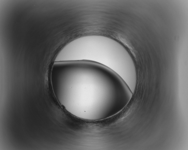 X0000090740681200707201013