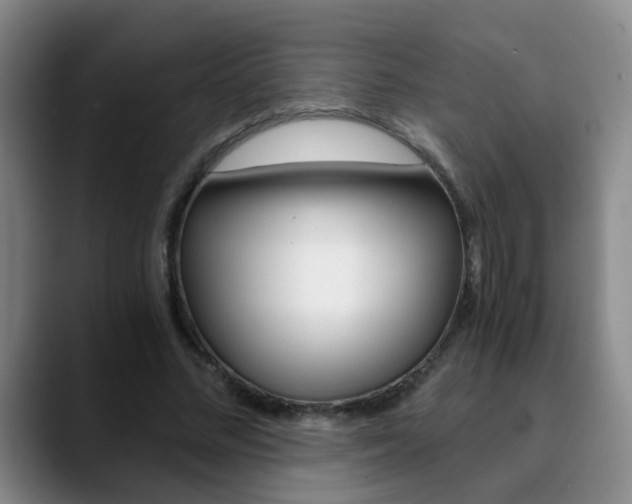 X0000090740684200707201013