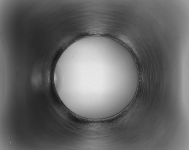 X0000090740686200707201013