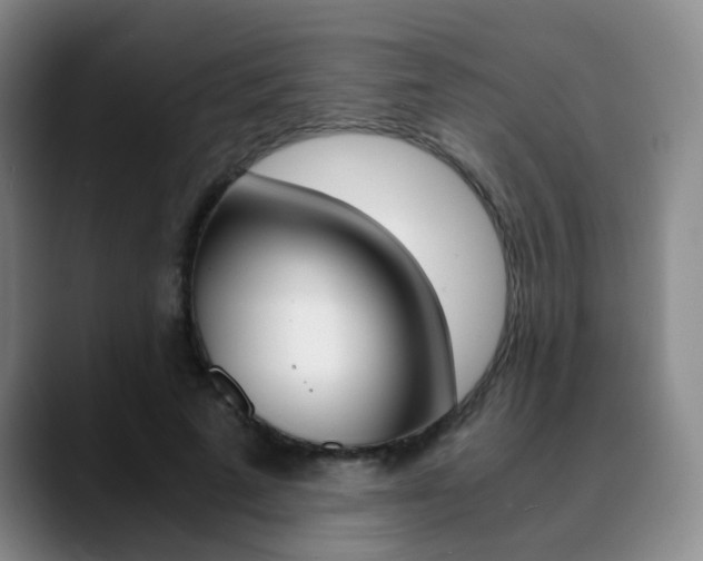 X0000090740689200707201013