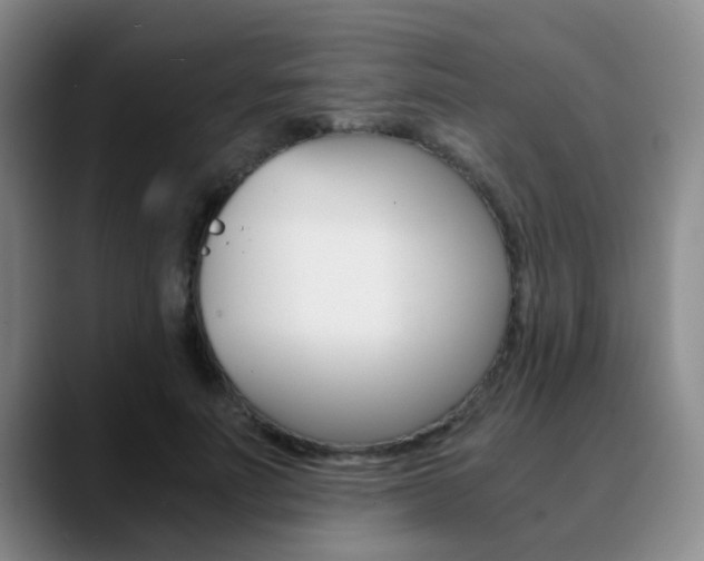 X0000090740691200707201013