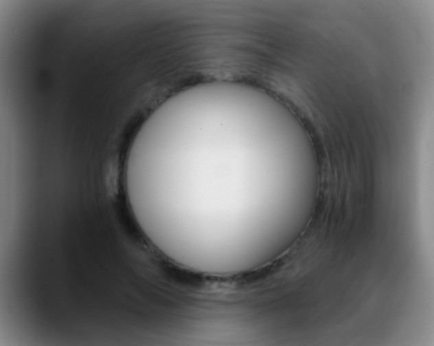 X0000090740694200707201013