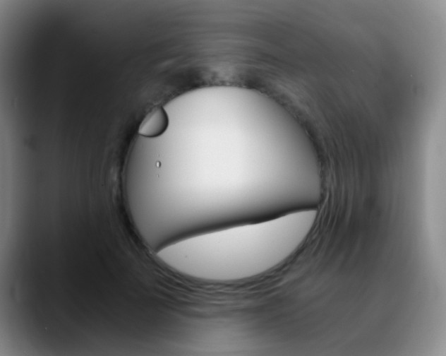 X0000090740699200707201013