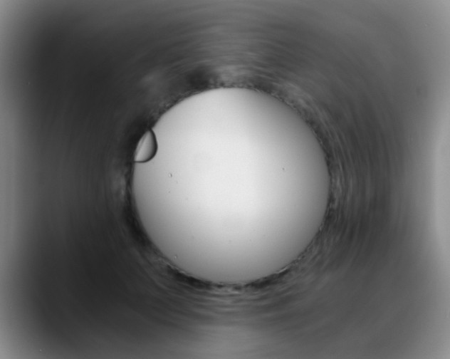 X0000090740703200707201013