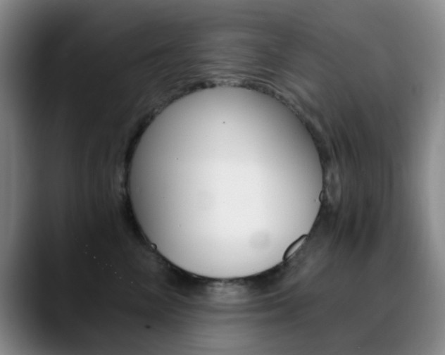 X0000090740714200707201013