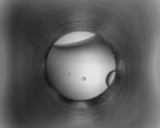 X0000090740715200707201013