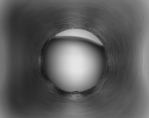 X0000090740716200707201013