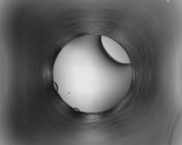 X0000090740718200707201013