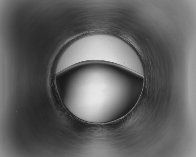 X0000090740724200707201012