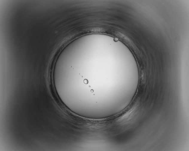 X0000090740725200707201013