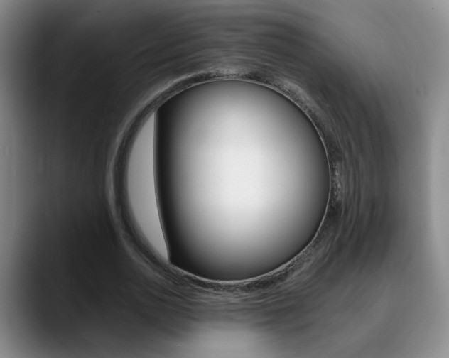 X0000090740726200707201013