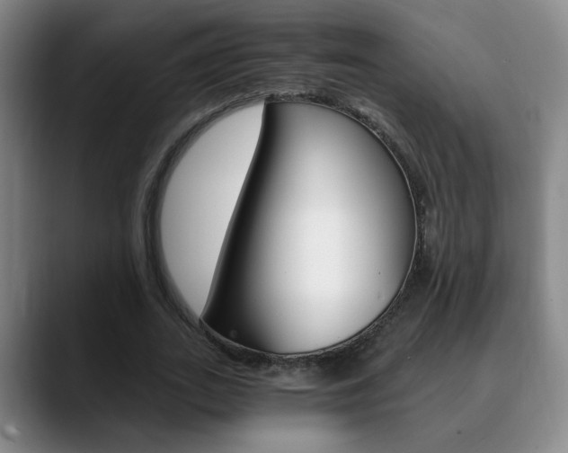 X0000090740727200707201013