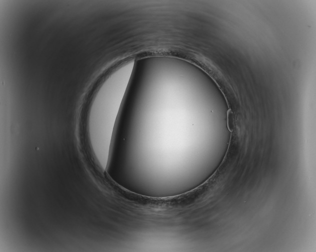 X0000090740728200707201013
