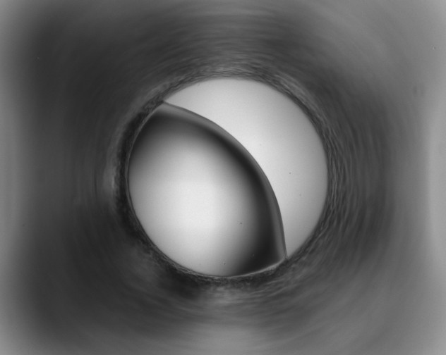 X0000090740732200707201013