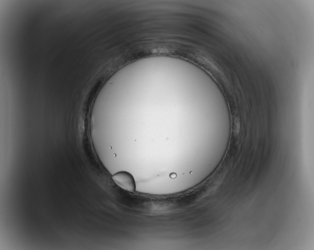 X0000090740733200707201013