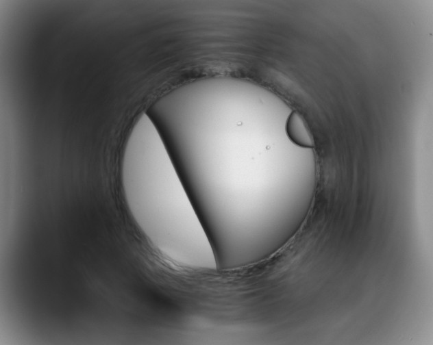 X0000090740737200707201013