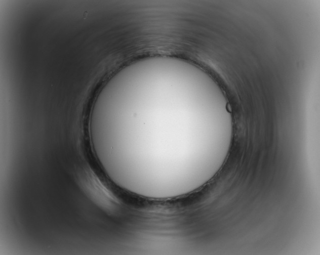 X0000090740738200707201013