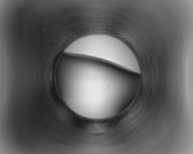 X0000090740739200707201013