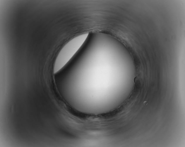 X0000090740742200707201013