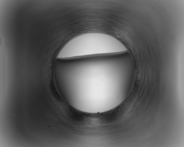 X0000090740743200707201013