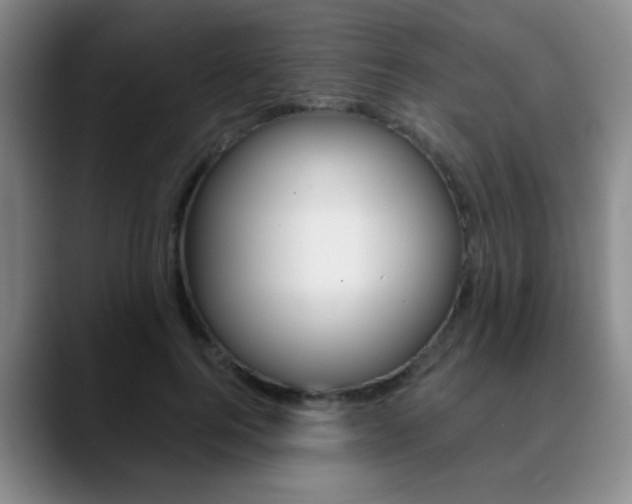 X0000090740744200707201013