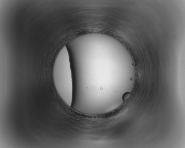 X0000090740745200707201013